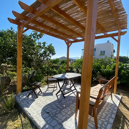 Nektarios * Mikri Vigla