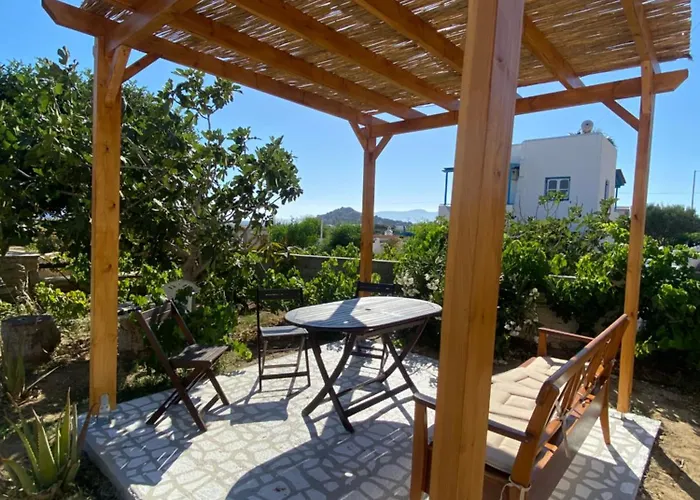 Nektarios * Mikrí Vígla